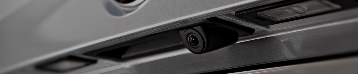 Handle Cameras